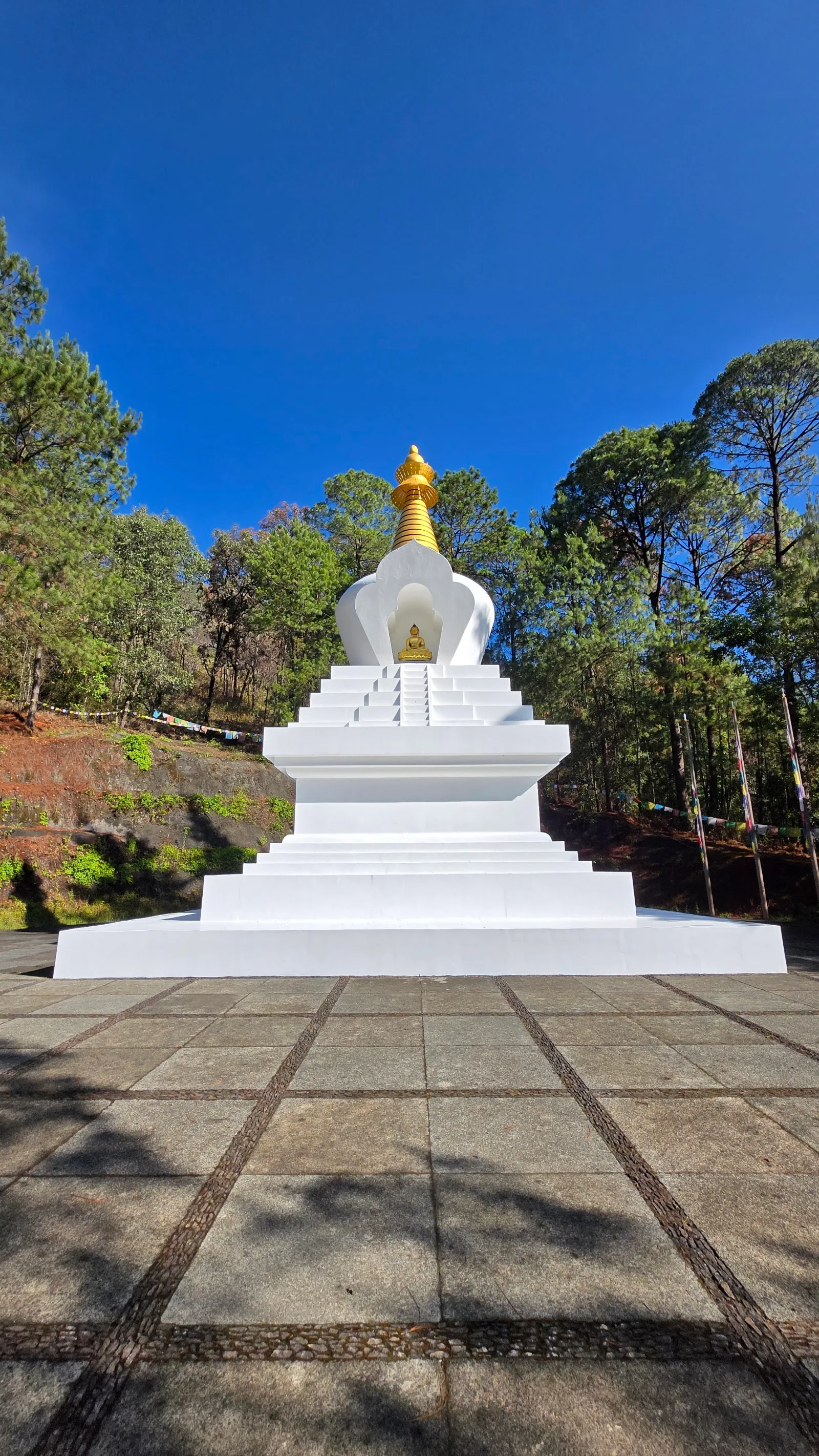 Fotografía de Stupa de la Paz