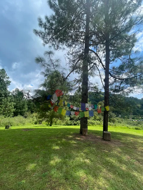 Fotografía de Stupa de la Paz