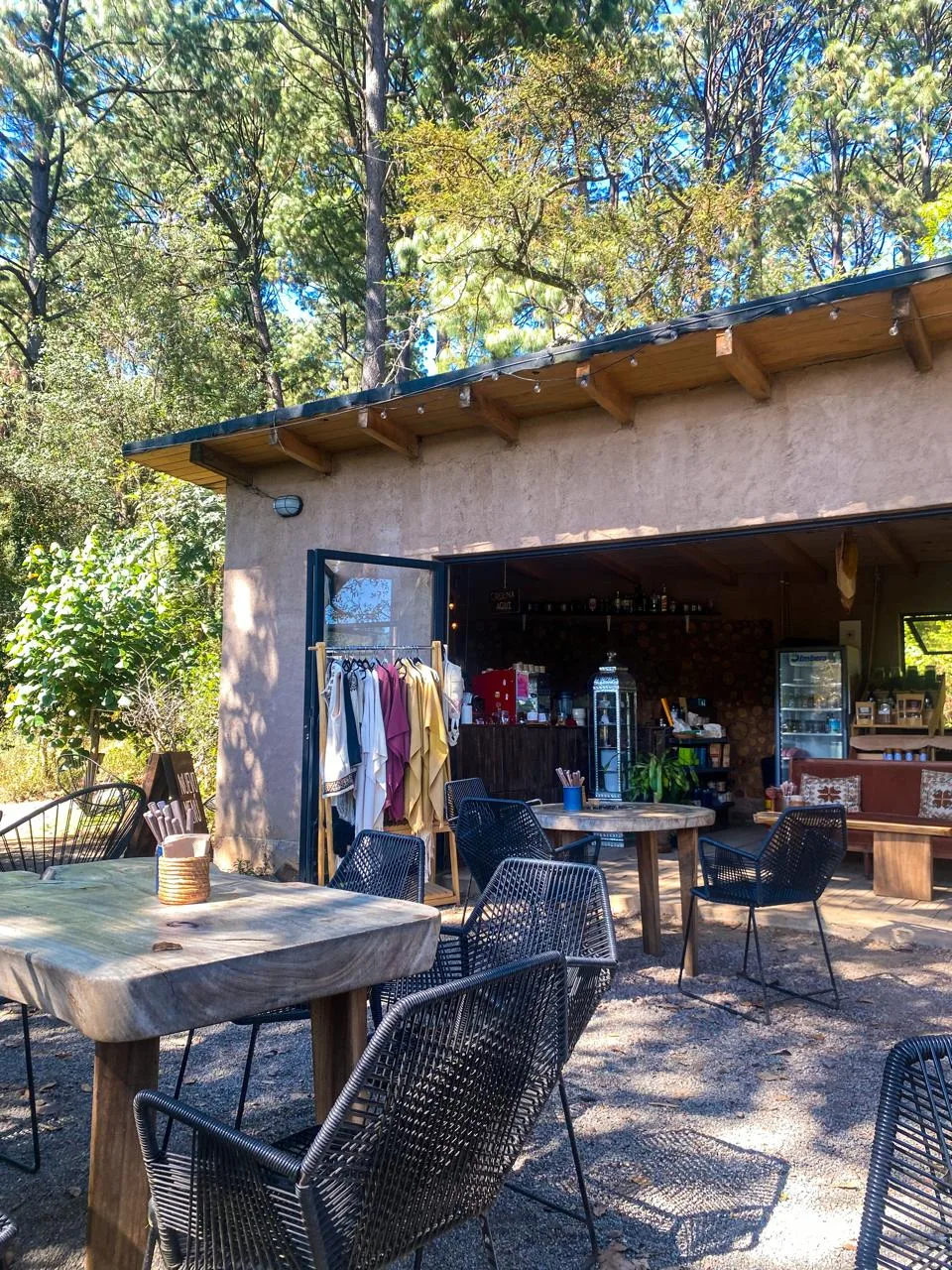 Photo of PÁJARO CAFÉ BOSQUE