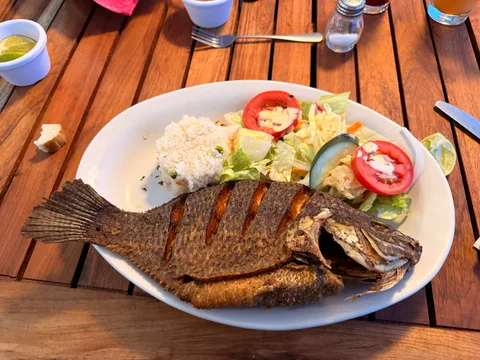 Fotografía de Restaurante Los Pericos